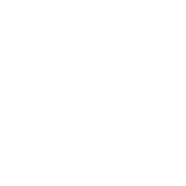 Numen Rising